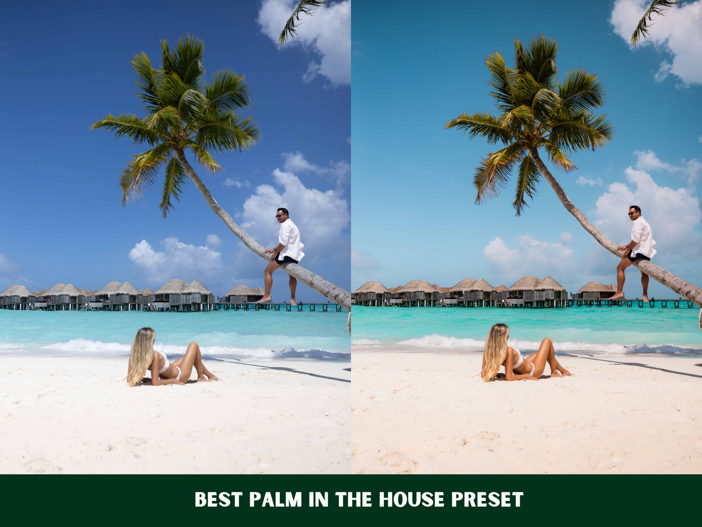 Mesmerizing Maldives Presets