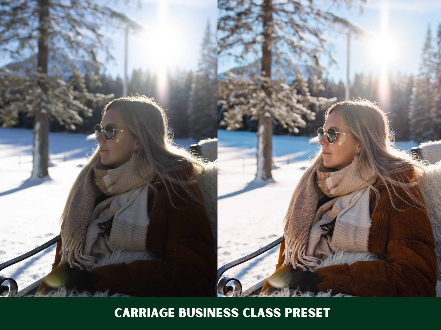 Winter Wonderland Presets