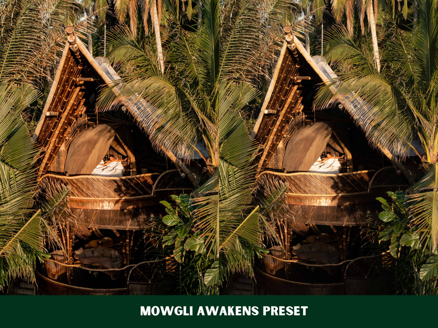 Blissful Bali Presets