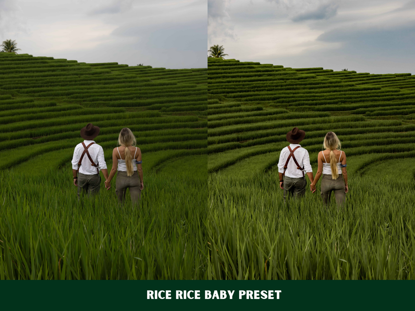 Blissful Bali Presets