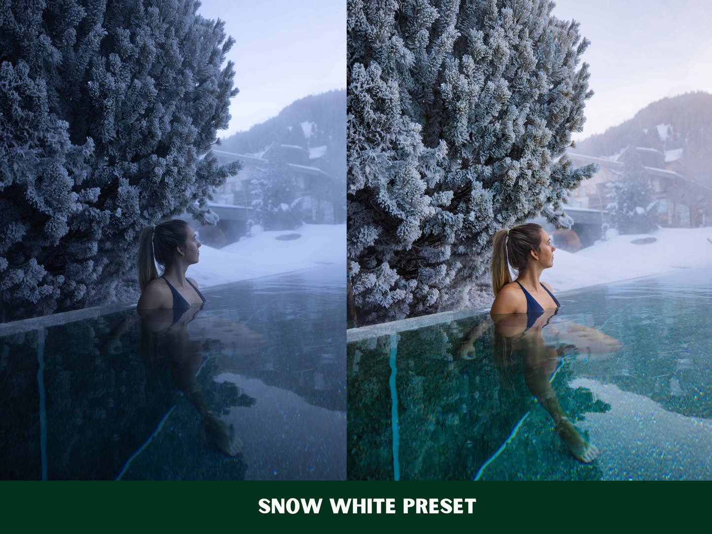 Winter Wonderland Presets