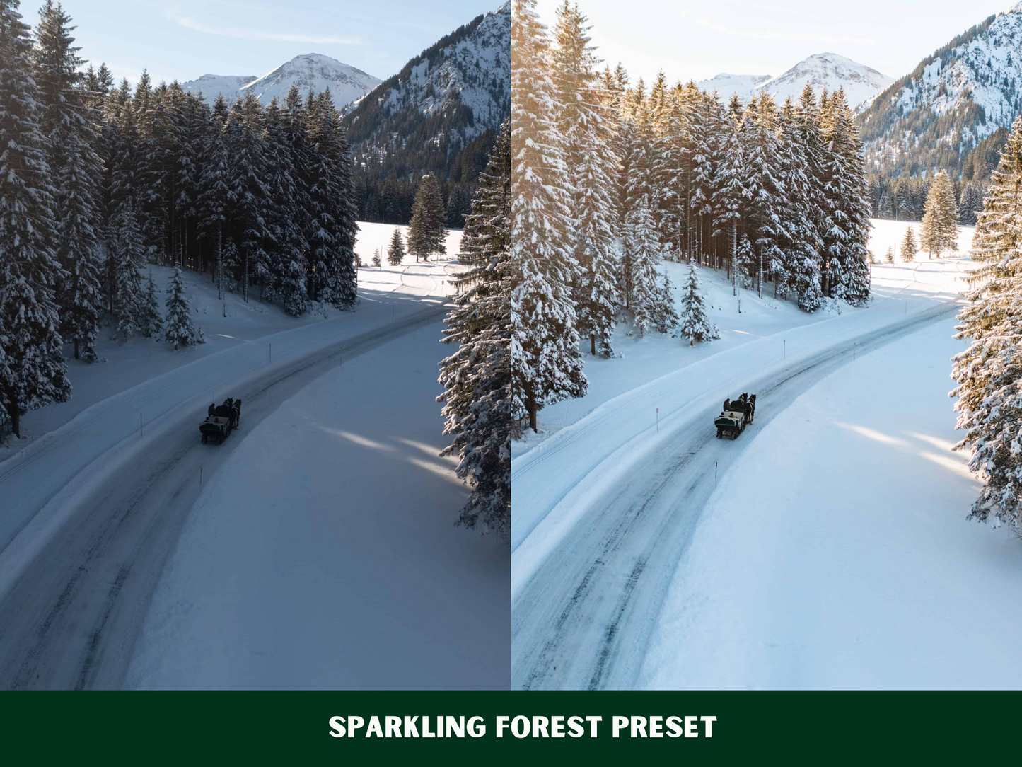 Winter Wonderland Presets