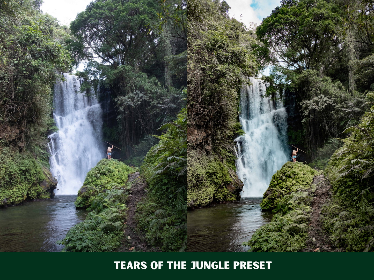 Blissful Bali Presets