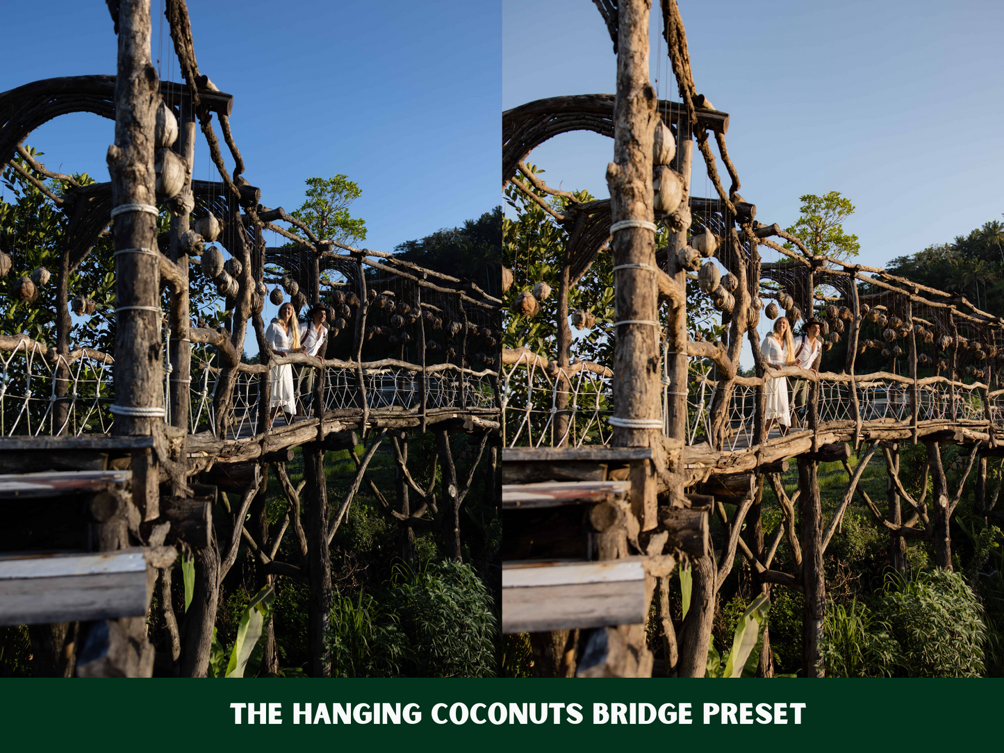 Blissful Bali Presets