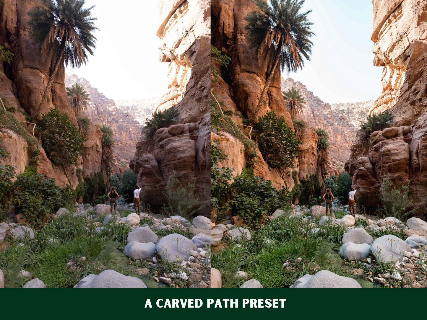 Jewels of Jordan Presets